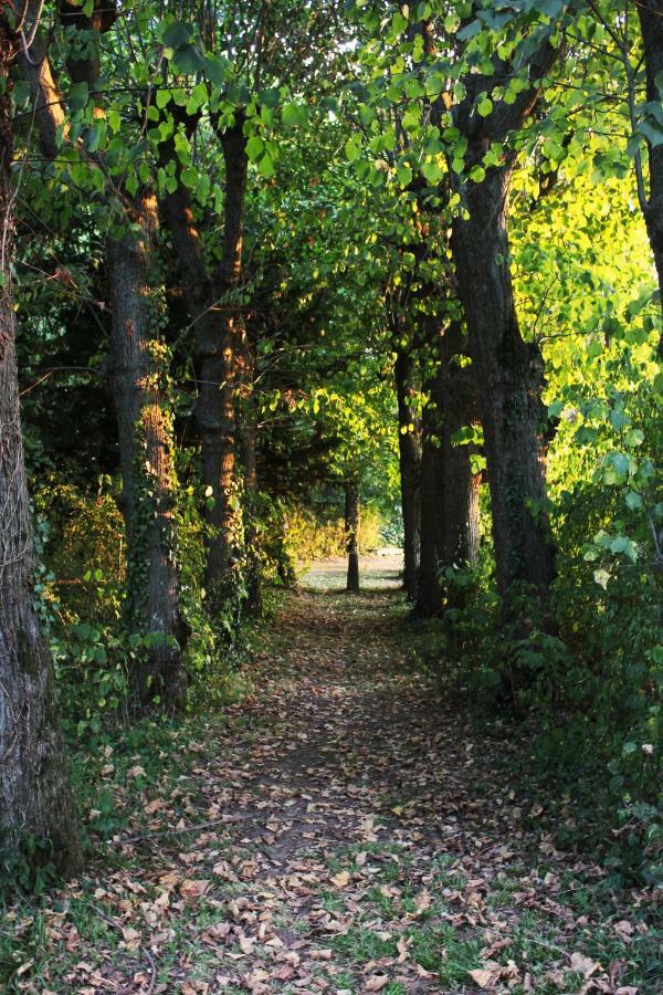 Domaine Des Lilas Saint-Germain-Lembron Exteriör bild