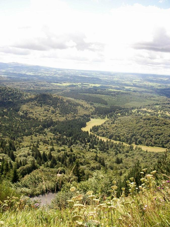 Domaine Des Lilas Saint-Germain-Lembron Exteriör bild